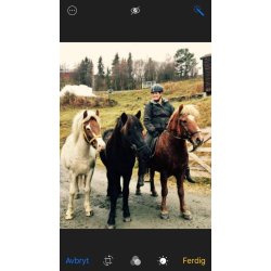HESTAGALLERY HNDHESTGJORD