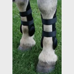 Senebelegg - pass leggbeskytter