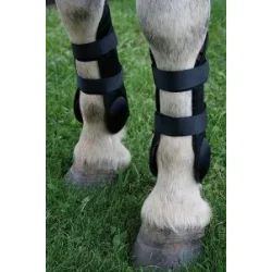 Senebelegg - pass leggbeskytter