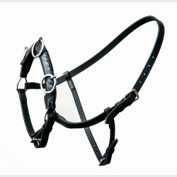 HESTAGALLERY KAPSUN TRENINGS OG LONGERINGS GRIME I L�R