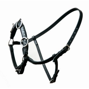 HESTAGALLERY KAPSUN TRENINGS OG LONGERINGS GRIME I LR