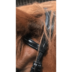 VALS ERGONIMISK KOMPLETT OG MYKT HODELAG MED HANNOVERANSK NESEREIM