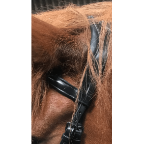 VALS ERGONIMISK KOMPLETT OG MYKT HODELAG MED HANNOVERANSK NESEREIM