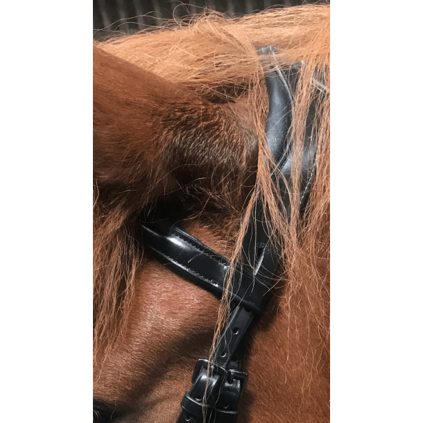 VALS ERGONIMISK KOMPLETT OG MYKT HODELAG MED HANNOVERANSK NESEREIM