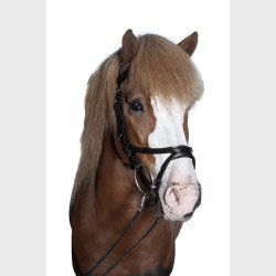 TELMA ERGONOMISK KOMPLETT HODELAG MED NESEREIM