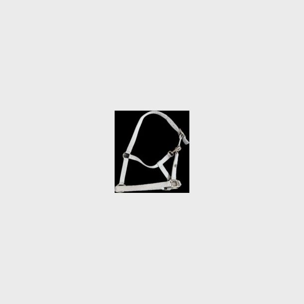 Skina Grime � S�lv